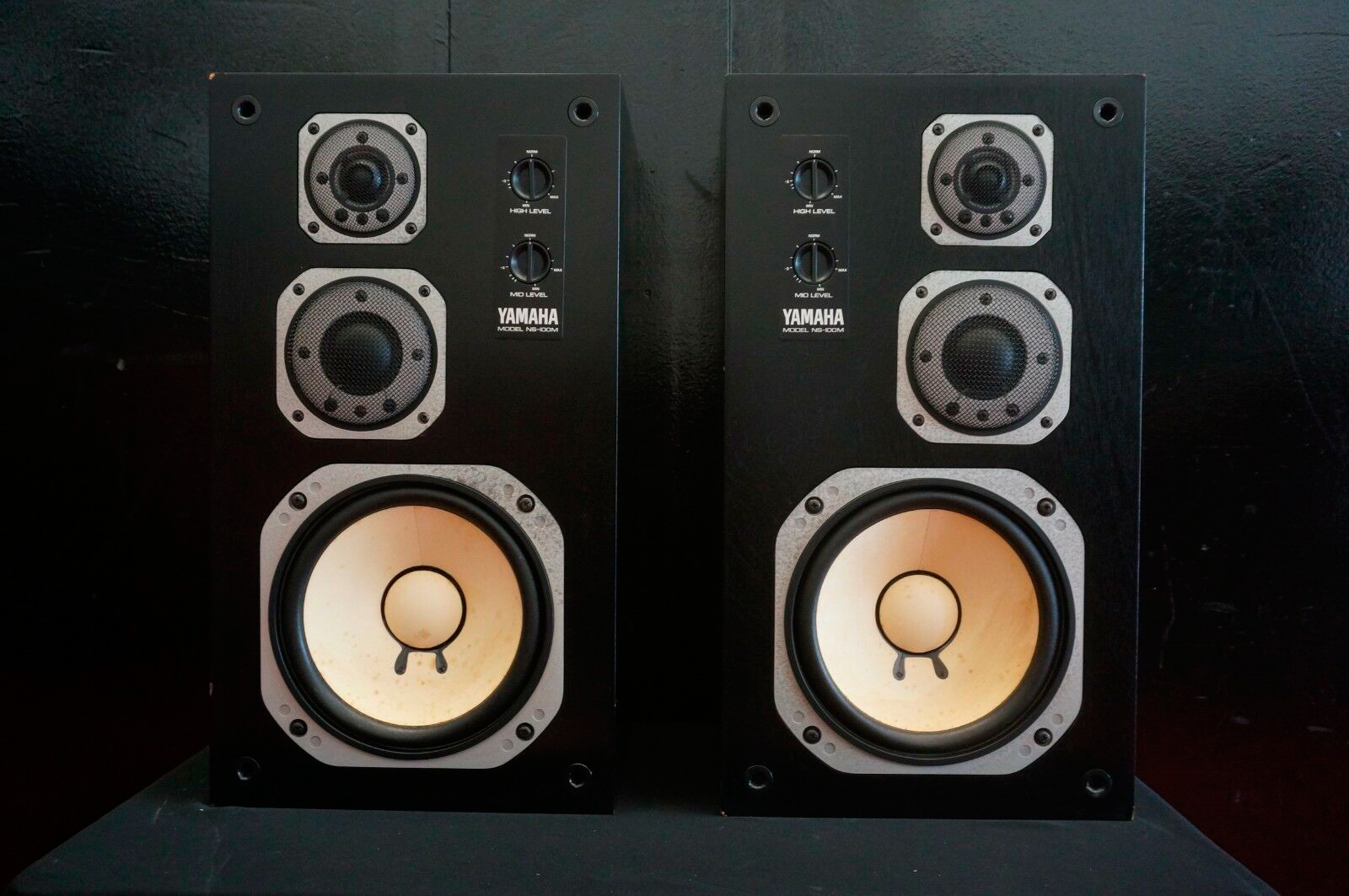 Difference Between Studio Monitors And Hi-Fi Speakers | The Case for  Impeachment